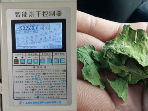 薄荷葉空氣能烘干項目