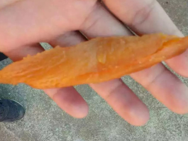 紅薯空氣能烘干熱泵