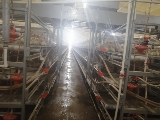養雞場(chǎng)用紐恩泰空氣能冷暖熱泵，精準控溫，高效節能
