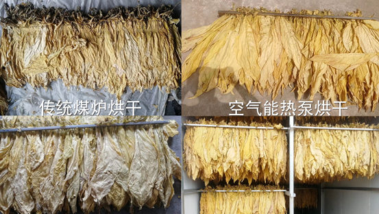 助力鄉村振興，紐恩泰空氣源烘干機為烤煙烘干護航