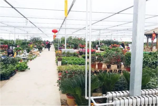 空氣能溫室大棚
