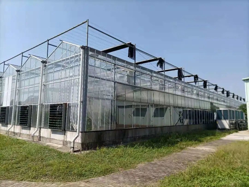 空氣能溫室大棚
