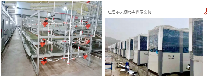 紐恩泰空氣能G60KD超低溫冷暖熱泵機組，為23000㎡16個(gè)大棚雞舍供暖
