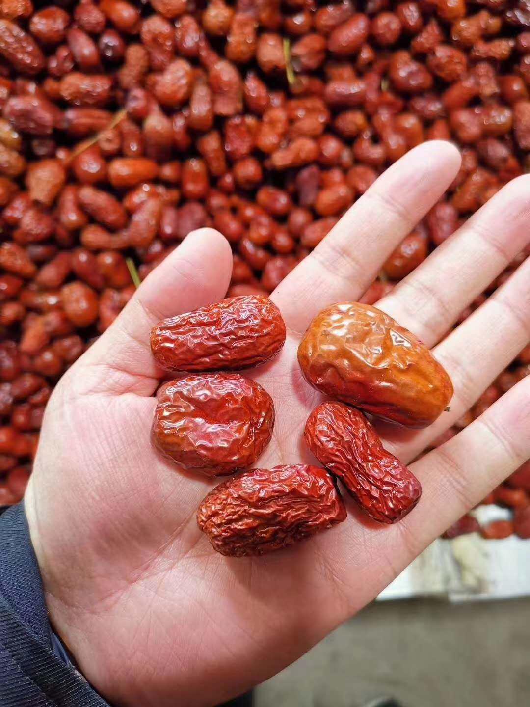 取締燃煤烘干，紐恩泰空氣能烘干機成新疆棗農首選