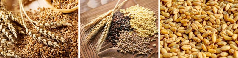 十大優(yōu)點(diǎn)告訴你，糧食烘干為什么選空氣能熱泵烘干機？