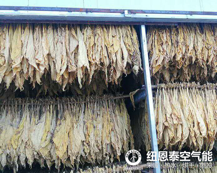 煙葉烘烤“大轉型”：福建龍巖居民用空氣能烘干取代煤炭