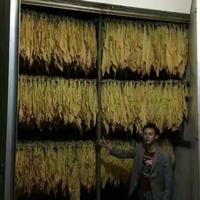 用空氣能熱泵烘干煙草，必須掌握“三段式烘烤技術(shù)”！