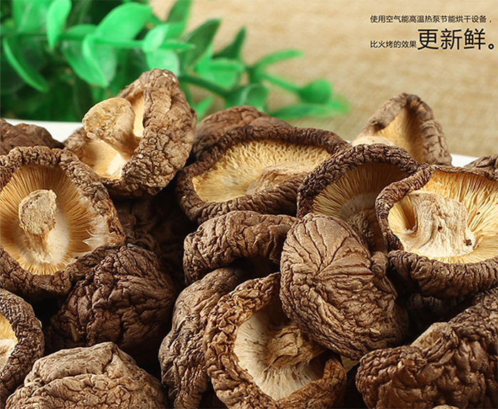 如何使烘干香菇“更新鮮”，空氣能熱泵來(lái)支招